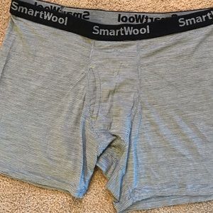 Smartwool 150 Merino Boxer Briefs